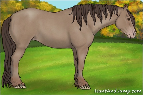 Horse Color: Classic Champagne Roan 