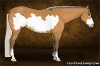 Horse Color:Silver Buckskin Frame 