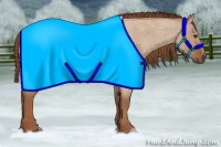 Horse Color:Red Dun Roan 