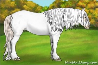 Horse Color:White Spotted Palomino Ice Splash Frame
