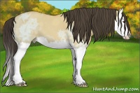 Horse Color:Buckskin Ice Dun Splash 