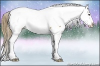 Horse Color:Buckskin Splash Near Fewspot 