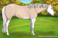 Horse Color:Silver Amber Champagne Dun Splash 