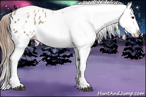 Horse Color: Black Pearl Blanket 