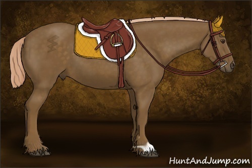 Horse Color:Chocolate Palomino