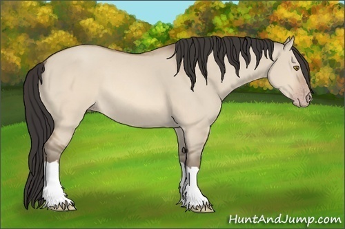 Horse Color: Sable Champagne Dun 