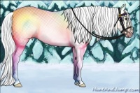 Horse Color:Gray Chestnut Tobiano