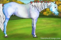 Horse Color:Gray Chestnut 