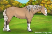 Horse Color:Silver Brown Dun Sabino Splash 