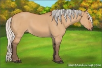 Horse Color:Silver Bay Dun Sabino 