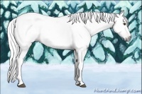 Horse Color:Gray Chestnut 