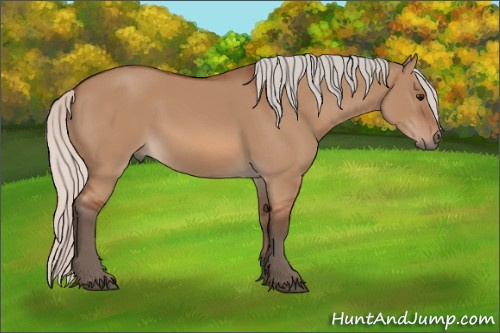 Horse Color: Silver Bay Dun Sabino 