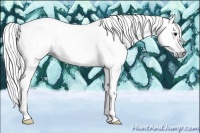 Horse Color:Gray Smoky Black Tobiano 