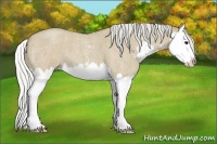 Horse Color:Silver Smoky Grullo Roan Sabino Splash 