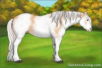 Horse Color:White Spotted Silver Bay Dun Splash 