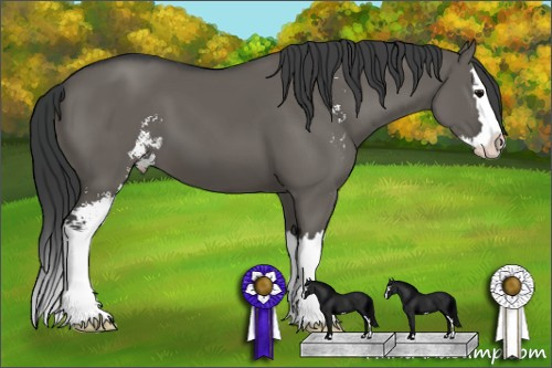 Horse Color: Brown Dun Sabino Splash 