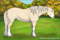 Horse Color:Gold Cream Champagne Dun Splash 