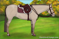 Horse Color:Classic Champagne Dun 