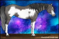 Horse Color:Grullo Splash Frame 