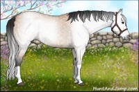 Horse Color:Gray Bay Dun Splash 