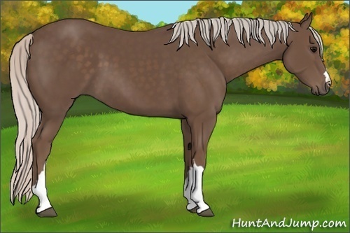Horse Color:Silver Black 