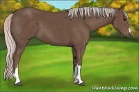 Horse Color:Silver Black 