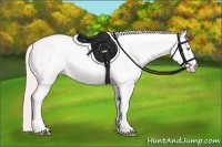 Horse Color:Smoky Creme Roan 