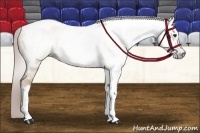 Horse Color:Gray Red Dun Splash Tobiano Frame 