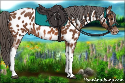 Horse Color: Bay Tobiano Frame Near Leopard 