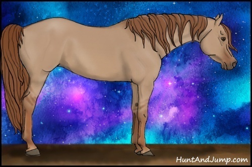 Horse Color: Red Dun 
