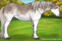 Horse Color:White Spotted Silver Blue Roan 