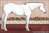 Horse Color:Gray Chestnut Splash Tobiano Frame 