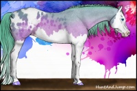 Horse Color:Watercolor Brown Splash Appaloosa 
