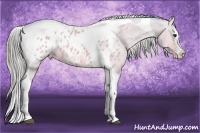 Horse Color:Watercolor Bay Dun Splash Tobiano Appaloosa 