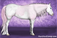 Horse Color:Watercolor Brown Splash Snowcap 