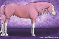 Horse Color:Watercolor Buckskin Splash 