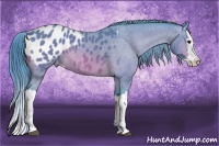 Horse Color:Watercolor Bay Splash Appaloosa 