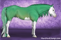 Horse Color:Watercolor Brown Splash 