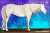 Horse Color:Perlino Splash