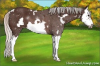 Horse Color:White Spotted Silver Brown Splash Frame 