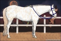 Horse Color:Buckskin Pearl Dun Near Leopard Rabicano 