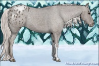 Horse Color:Silver Black Blanket 