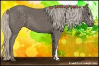 Horse Color:Silver Black 