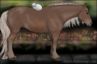 Horse Color:Silver Black 