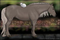 Horse Color:Silver Black 