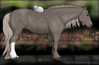 Horse Color:Silver Black 