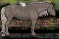 Horse Color:Silver Black 