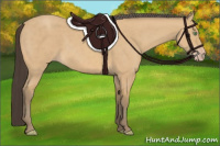 Horse Color:Amber Cream Champagne 