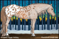 Horse Color:Chestnut Tobiano Appaloosa 