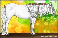 Horse Color:Gray Chestnut 